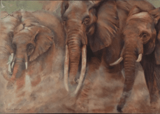 Oil on Canvas by Eunice Knoetze