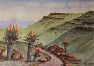 Drakensberg Foothills Aloes Watercolor Painting