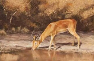 Oil Painting by G V Hacking 