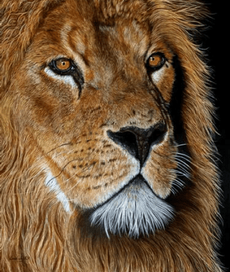 Waiting 2023 by Claudia Ludwig Size 70,5 x 56 cm