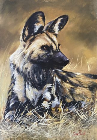 South African Painted dog by Stan Polson