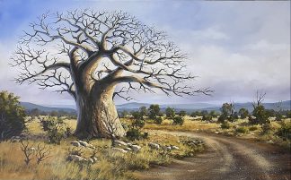 Boabab by Stan Polson 760 x 1220mm