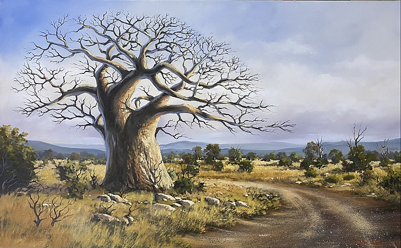 Boabab by Stan Polson 760 x 1220mm 1 Boabab by Stan Polson 760 x 1220mm
