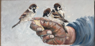 Cornelie Wolff Provision new